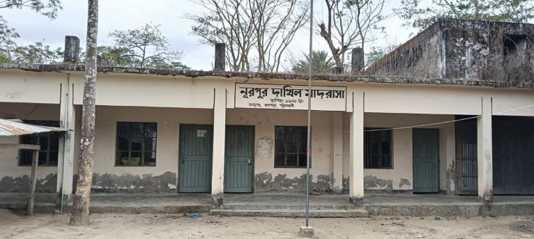 কলাপাড়ায় নুরপুর মাদ্রাসায় গোপন কমিটি, নিয়োগ বাণিজ্যের অভিযোগ