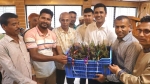 কলাপাড়ায় কৃষকদের মাঝে বিনামূল্যে গোলপাতার চারা বিতরণ