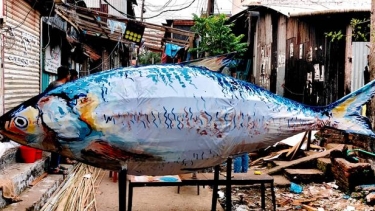কলাপাড়ায় ১৪ ফুট ইলিশ নিয়ে বর্ণাঢ্য বৈশাখী শোভাযাত্রার প্রস্তুতি