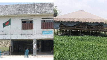 কলাপাড়ায় বিদ্যালয়ের পাশে ব্রয়লার খামার, দুর্গন্ধে ব্যাহত পাঠদান