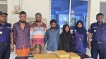 মহিপুরে ১২ কেজি গাঁজাসহ চারজন আটক