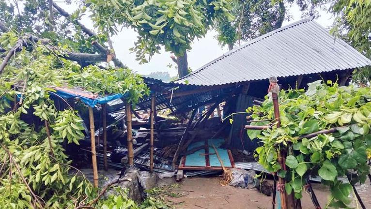 নলছিটিতে টিনসেট ঘরের নিচে চাপা চার বছরের শিশু নিহত। ছবি : সংগৃহীত