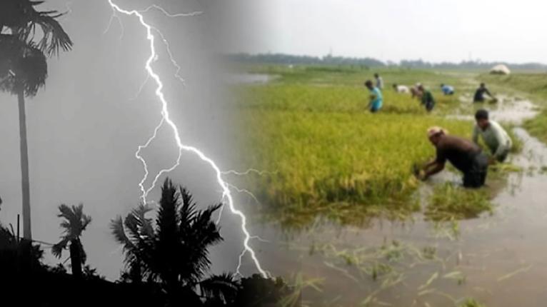 ছবি ইন্টারনেট থেকে সংগৃহীত