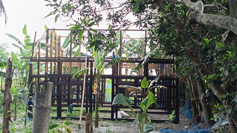 আগৈলঝাড়ায় ঘর তুলতে গিয়ে বাধা, প্রতিপক্ষের কলাগাছ রোপণ