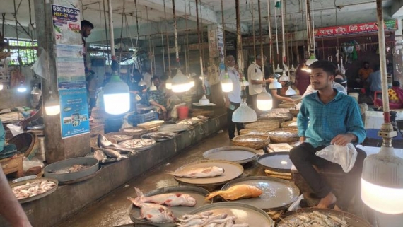 বরিশালে নজরদারিহীনতায় দিনে লাইট জ্বালিয়ে মাছবাজারে বিদ্যুৎ অপচয়