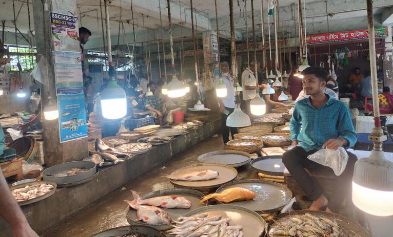 বরিশাল নগরির নথুল্লাবাদ মাদরাসা মাছ বাজারের দৃশ্য এটি, যেখানে দিনের বেলা এলইডি লাইট জ্বালিয়ে মাছ বিক্রি করা হচ্ছে।