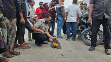 কুয়াকাটায় আবাসিক হোটেলে অভিযান: ইয়াবাসহ দুইজনকে কারাদণ্ড