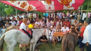 নেছারাবাদে জমজমাট ঘোড়দৌড় ও বৈশাখী মেলা অনুষ্ঠিত