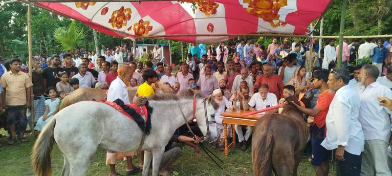 নেছারাবাদে পহেলা বৈশাখে জমজমাট ঘোড়দৌড় ও বৈশাখী মেলা
