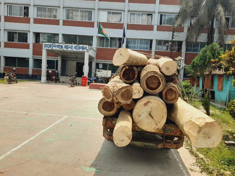 মেহেন্দিগঞ্জে খাজনা না দেওয়ায় গাছবোঝাই দুই নসিমন আটক