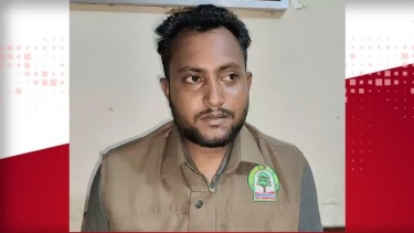 কুয়াকাটায় বনকর্মীদের মারধর, মোবাইল ও টাকা ছিনতাইয়ের অভিযোগ