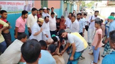মোংলায় খালেদা জিয়ার পক্ষে ৯ গরু কোরবানি, দুস্থদের মাঝে মাংস বিতরণ