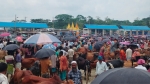 আমতলীতে বড় গরুর ক্রেতা কম, ছোট-মাঝারি গরুর চাহিদা বেশি