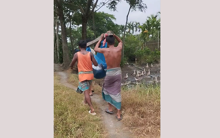 আগৈলঝাড়ায় সড়ক না থাকায় রোগীকে বাঁশে ঝুলিয়ে হাসপাতালে নেওয়ার পর মৃত্যু