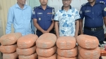 মঠবাড়িয়ায় ভাড়া ফ্ল্যাটে অভিযান: ৩০ কেজি গাঁজাসহ গ্রেফতার-১