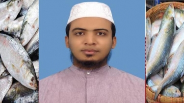 বিজ্ঞান ছাড়া বিচার নয়: ভোলার জেলেদের অধিকার ও ইলিশ ব্যবস্থাপনার সংকট !