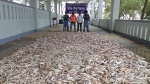 <small>৫৮ দিনের নিষেধাজ্ঞা বাস্তবায়ন </small> মহিপুরে কোস্ট গার্ডের অভিযানে ১,৫৫০ কেজি সামুদ্রিক মাছ জব্দ