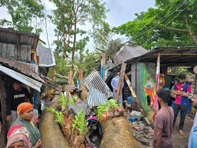 দুমকিতে কালবৈশাখী ঝড়ে গাছ চাপায় দুই ব্যবসা প্রতিষ্ঠান বিধ্বস্ত, ব্যাপক ক্ষয়ক্ষতি