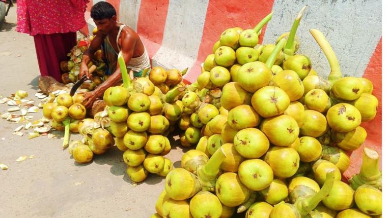 দুমকিতে তালের শাঁসে মিলছে গরমের স্বস্তি