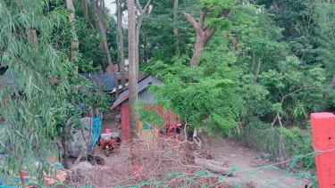 কুয়াকাটায় শত কোটি টাকার খাস জমি বন্দোবস্তে অনিয়ম, বিক্রির পাঁয়তারার অভিযোগ