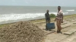 অবশেষে কুয়াকাটা সৈকতের পচা বর্জ্য অপসারণ, ফিরছে স্বস্তি
