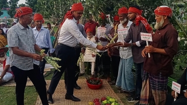 কলাপাড়ায় শ্রেষ্ঠ কৃষকদের সাথে কৃষি বিভাগের ব্যতিক্রমী আড্ডা