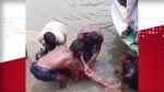 নেছারাবাদে কাঠবোঝাই ট্রলার ডুবে চালকের মৃত্যু