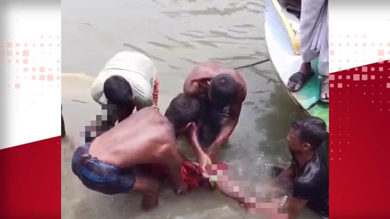 নেছারাবাদে কাঠবোঝাই ট্রলার ডুবে চালকের মৃত্যু