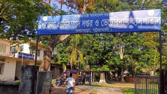 কলাপাড়ায় পশু হাসপাতালে ভ্যাকসিন বাণিজ্যের অভিযোগ