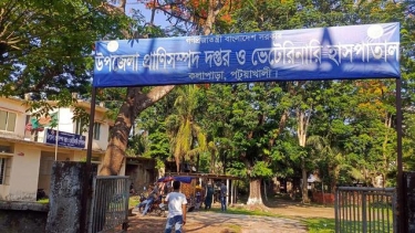 কলাপাড়ায় পশু হাসপাতালে ভ্যাকসিন বাণিজ্যের অভিযোগ