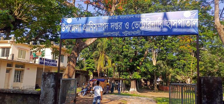 কলাপাড়ায় পশু হাসপাতালে ভ্যাকসিন বাণিজ্যের অভিযোগ