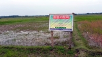 কলাপাড়ায় সাইনবোর্ড লাগিয়ে প্রবাসীর জমি দখলের অভিযোগ