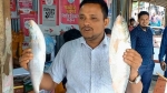 ভোলায় দুই ‘রাজা ইলিশ’ বিক্রি ১০ হাজার টাকায়