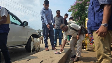 কলাপাড়ার নীলগঞ্জ ব্রিজ এলাকা থেকে গাঁজাসহ যুবক আটক, কারাদণ্ড