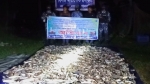 ৫৮ দিনের নিষেধাজ্ঞায় কোস্ট গার্ডের অভিযান, বিপুল সামুদ্রিক মাছ জব্দ
