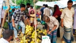 প্রচণ্ড গরমে নাজিরপুরে তালশাঁসের চাহিদা বৃদ্ধি