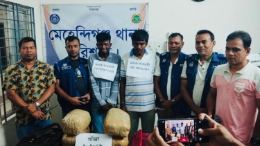 মেহেন্দিগঞ্জে ৮ কেজি গাঁজাসহ আটক ২