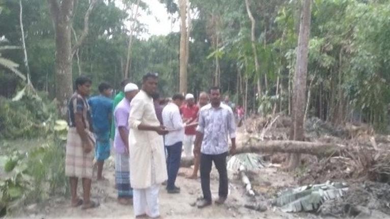 খাল কাটার নামে এভাবেই গাছ কেটে সাবার করা হয়।