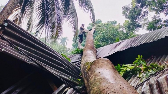 মেহেন্দিগঞ্জে কালবৈশাখী ঝড়ে ব্যাপক ক্ষয়ক্ষতি