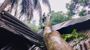 মেহেন্দিগঞ্জে কালবৈশাখী ঝড়ে ব্যাপক ক্ষয়ক্ষতি