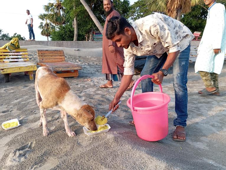কুয়াকাটায় ঈদুল আযহার ছুটিকালে ক্ষুধার্ত প্রাণীদের জন্য খাবার সরবরাহ কার্যক্রম