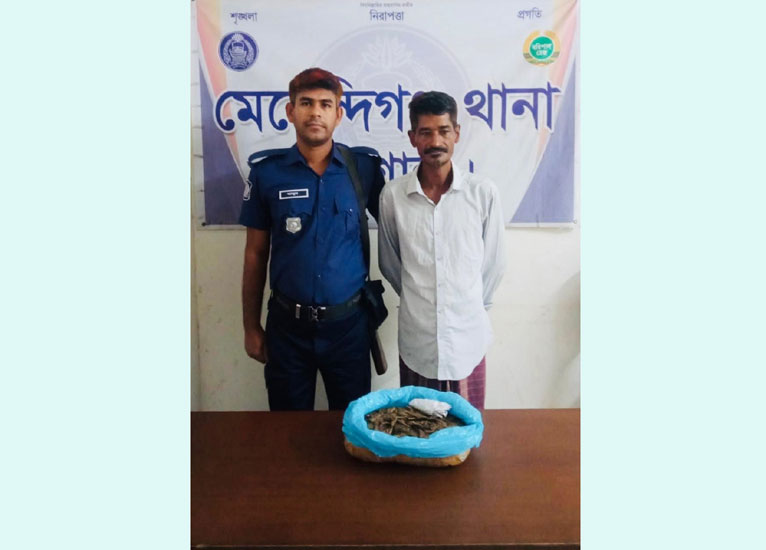 মেহেন্দিগঞ্জে ১ কেজি গাঁজাসহ মাদক কারবারি গ্রেফতার