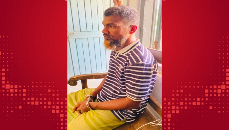 রাঙ্গাবালীতে বুনো মহিষের মাংসসহ একজন আটক