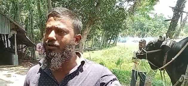 সাবেক প্রধানমন্ত্রীকে ‘কালো মানিক’ গরু উপহার দিয়ে আলোচনায় আসা সোহাগ মৃধা গ্রেপ্তার