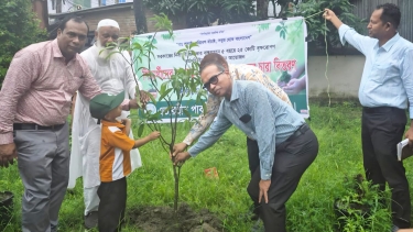 বরগুনায় শিক্ষার্থীদের মাঝে আমগাছের চারা বিতরণ