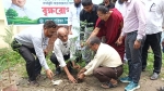 পিরোজপুর জেলা পরিষদের বৃক্ষরোপণ শুরু