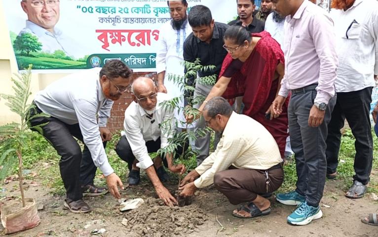 পিরোজপুর জেলা পরিষদের বৃক্ষরোপণ শুরু