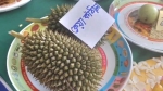 কলাপাড়ায় জাতীয় ফল মেলা শুরু