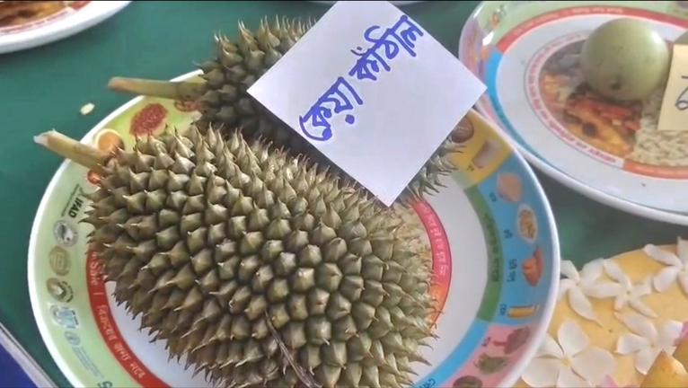 কলাপাড়ায় জাতীয় ফল মেলা শুরু