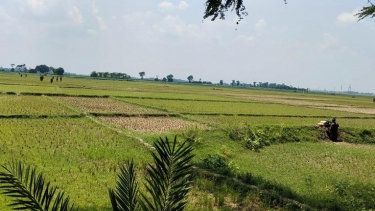 বেনাপোল সীমান্তে বিজিবির কঠোর অবস্থানে বিএসএফের পুশইন প্রচেষ্টা ব্যর্থ
